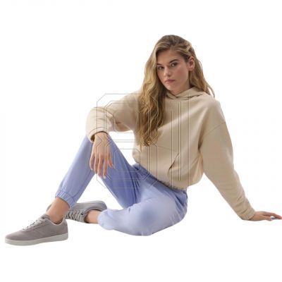 5. Sweatshirt 4F W 4FWSS24TSWSF1057 12S