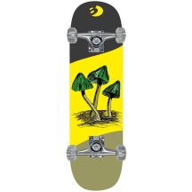 Pilze – das beste Sport-Holzskateboard