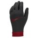 5. Nike Liverpool FC Thermafit HO23 FJ4857-010 Handschuhe