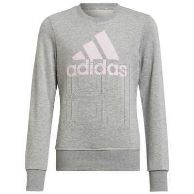 6. Sweatshirt adidas Big Logo Swt Jr HM8706