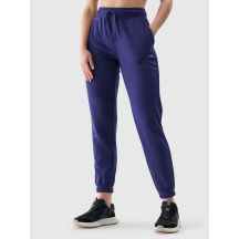 Damen Jogger Sweatpants 4F 4FWMM00TTROF1138-31S