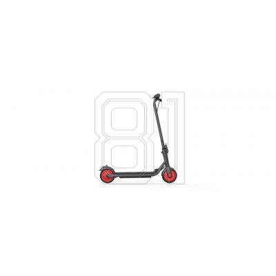 13. Segway-Elektroroller ZING C20