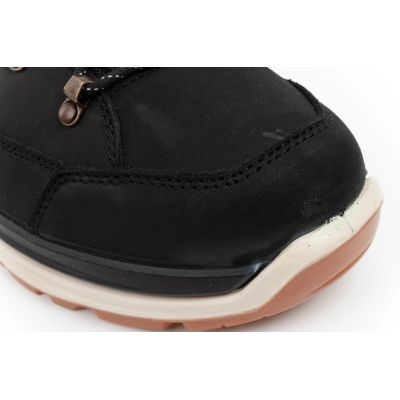 5. Herren-Trekkingstiefel Lowa Renegade Evo Ice 2 GORE-TEX hoch