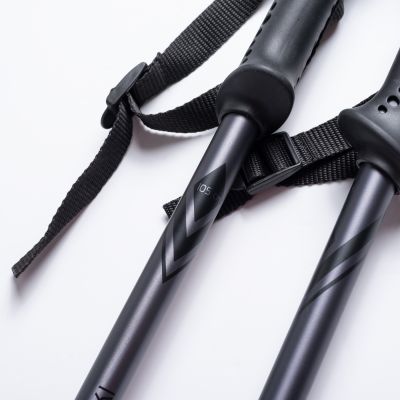 3. ALPINE SKI II Stöcke