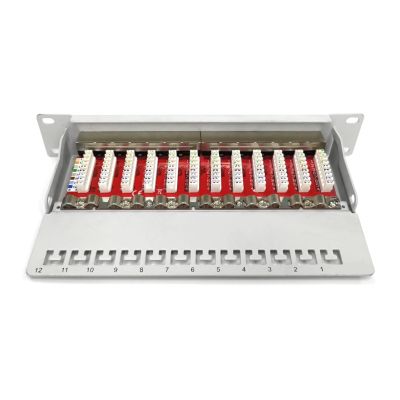 11. Digitus Patchpanel 10'' 12x RJ45, LSA-Level, Cat.6A, geschirmt, 1 HE, grau, Kabelführung