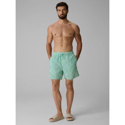 Herren-Boardshorts 4F 4FRSS26UBDSM260-90A
