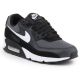 Nike Air Max 90 Schuhe CN8490-002