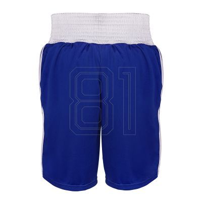 3. Adidas ADIBTS02 boxing shorts