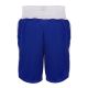 3. Adidas ADIBTS02 boxing shorts
