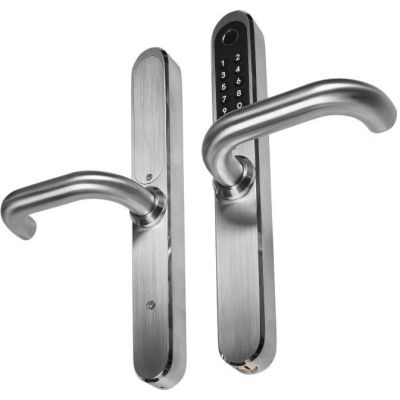 Türgriff mit Zutrittskontrollsystem EURA ELH-30H4 Silber
