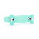 9. Tempish Buffy Nature Skateboard 1060000785