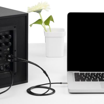 3. 3,5-mm-Klinkenstecker auf 2 Cinch-Stecker Audiokabel, 3 m, Schwarz