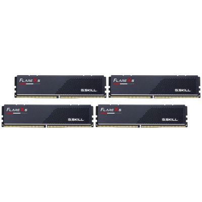 10. G.SKILL FLARE X5 AMD DDR5 4x48GB 6000MHz CL28 EXPO BLACK F5-6000J2836G48GX4-FX5