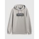 8. Herren-Kapuzenpullover, regulär, Größe 4F 4FRSS26TSWSM2801-27S