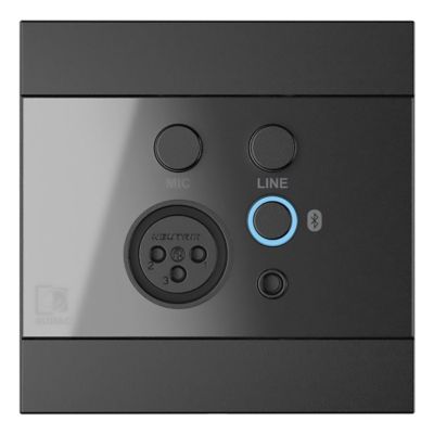 AUDAC WP225/B Wandpanel, XLR-Mikrofonanschluss + 3,5-mm-Klinkenanschluss + Bluetooth, schwarz
