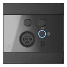 AUDAC WP225/B Wandpanel, XLR-Mikrofonanschluss + 3,5-mm-Klinkenanschluss + Bluetooth, schwarz