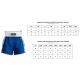 3. Kick Light Trainingsshorts MASTERS (WAKO-GENEHMIGT)