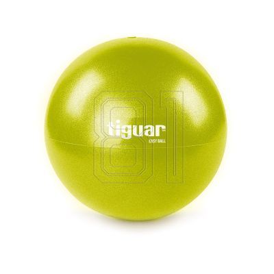 Tiguar Easyball TI-PEB026 Gymnastikball