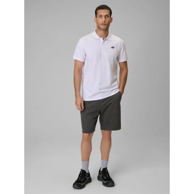 4. Herren-Poloshirt, regulär, Größe 4F 4FRMM00TPTSM0939-10S