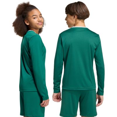 3. adidas Entrada 26 Langarmtrikot für Kinder Grün KF5873