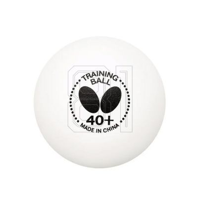 2. Butterfly-Trainingsball 85137