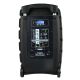 5. V-TONE BQ12 GO MP3 – Aktivlautsprecher, wiederaufladbar, schwarz, Bluetooth, TWS, USB, SD, DSP, AUX, Infrarot-Fernbedienung, 2 drahtlose Mikrofone, ausziehbarer Griff, Transportrollen