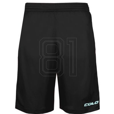 2. Colo Batch M Basketballshorts ColoBatch09