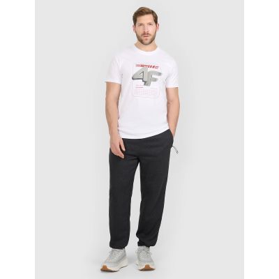 6. Herren-T-Shirt mit Aufdruck, regulär, Größe 4F 4FRAW25TTSHM3612-10S