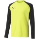 3. Puma teamPacer GK LS Trikot Jr 704939 42