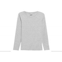 T-Shirt 4F W NOSH4-TSDL350 grau