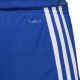 9. adidas Tastigo 19 Shorts Jr DP3682