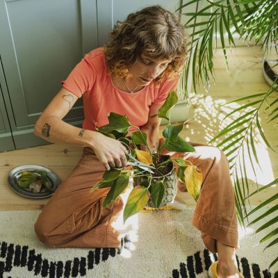 7. FISKARS Plant Care Topfpflanzen-Pflegewerkzeugset (1075317) (3-teilig)