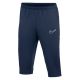 Nike Academy 25 3/4 Hose M FZ9787-410