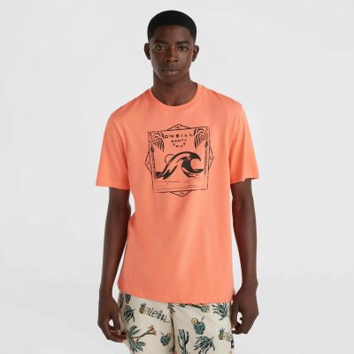7. O'Neill Mix & Match Wave T-Shirt M 92800613917