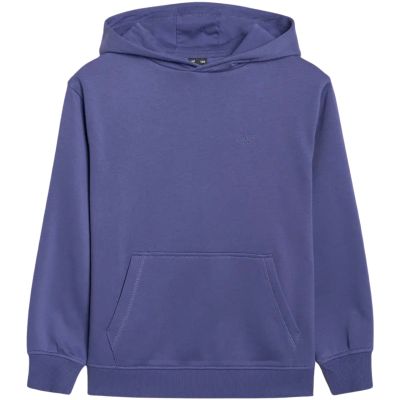 2. Jungen-Sweatshirt 4F M1945 blau 4FJWAW25TSWSM1945 33S