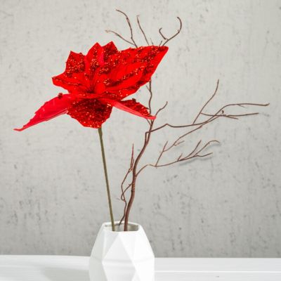 5. Stern von Bethlehem 30 cm