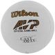 3. Wilson Mr Castaway WTH4615 Volleyball