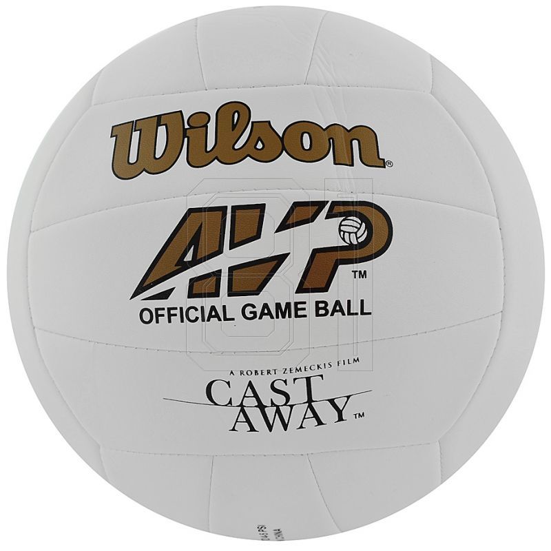 3. Wilson Mr Castaway WTH4615 Volleyball