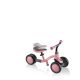 23. Globber Lernfahrrad 3in1 Deluxe 639-210