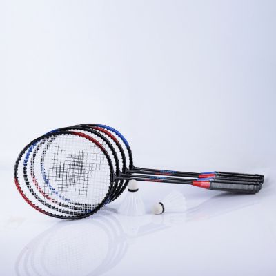 10. SMJ Sport TL001 Badminton-Set