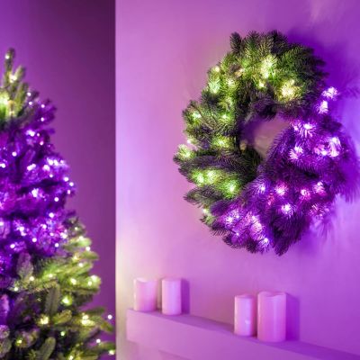 Twinkly Vorbeleuchteter Kranz – 50 RGB-LEDs, Regal 24" grünes Kabel, Steckertyp C