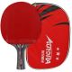 2. Tischtennisschläger Aurora PRO 3* SG 3002