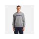 ROSSIGNOL Logo Sweatshirt Rn Fl Grau