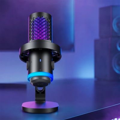 12. BOYA CastMic G40 Kabelgebundenes USB-C-Gaming-Mikrofon – Schwarz