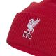 3. adidas Liverpool LFC Wollmütze JZ4449