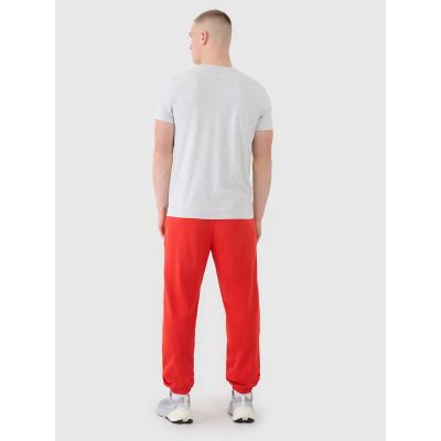 4. Herren Jogger Sweatpants 4F 4FWMM00TTROM1139-62S