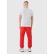 4. Herren Jogger Sweatpants 4F 4FWMM00TTROM1139-62S