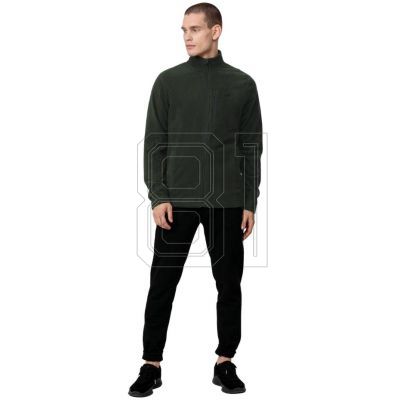 4. Sweatshirt 4F M H4Z22 PLM352 43S