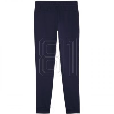2. Puma Team Goal Casuals Pants W 658604 06