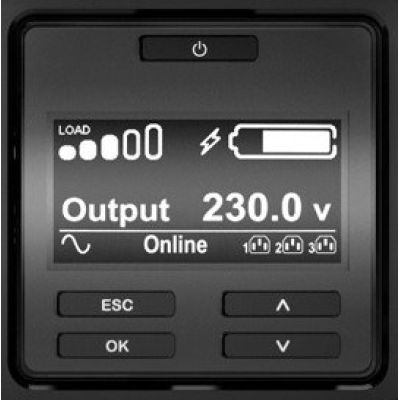 12. USV APC SRT2200XLI Smart-UPS SRT 2200VA 230V